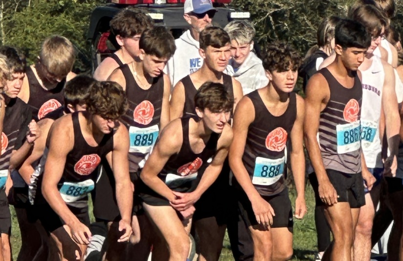 BXC